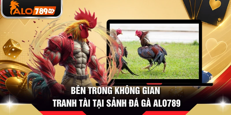Bên trong không gian tranh tài tại sảnh đá gà ALO789 