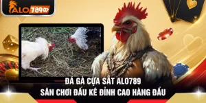 Đá Gà Cựa Sắt ALO789 - Sân Chơi Đấu Kê Đỉnh Cao Hàng Đầu